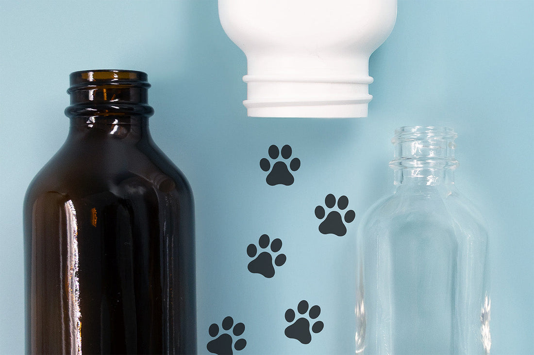 Pet Care & Veterinary